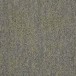 Commercial Carpet by Shaw 