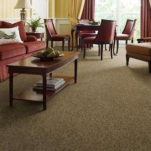 Shaw Commercial Carpet