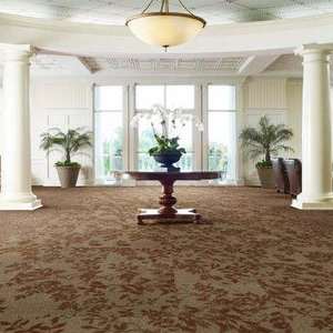 Shaw Carpet Tiles 