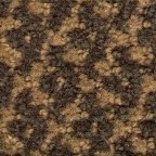 Allstar Guest Room Carpet